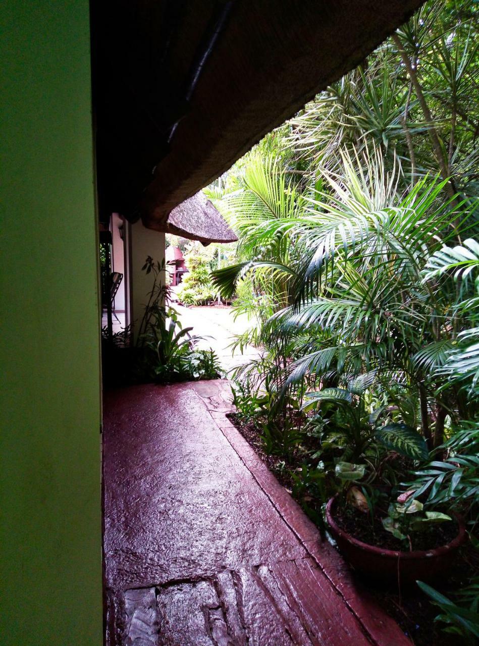 African Ambience Guest House Saint Lucia Estuary Exterior foto